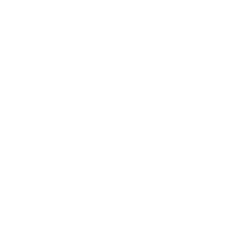 ضيوف البيت