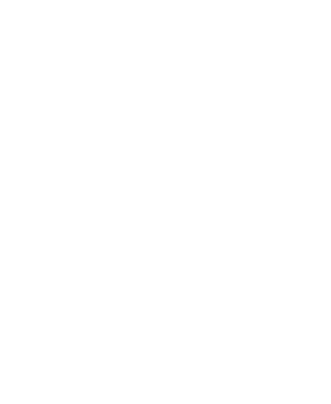 Client 29